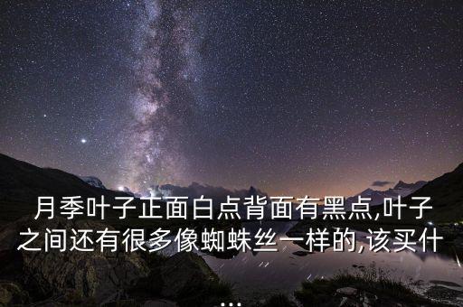  月季葉子正面白點背面有黑點,葉子之間還有很多像蜘蛛絲一樣的,該買什...