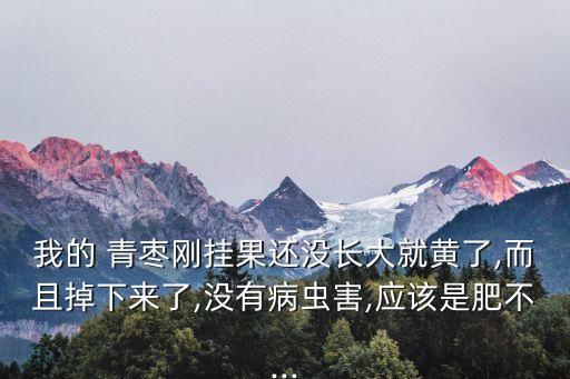 ,青棗有果實打什么農藥