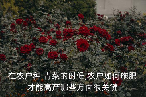 種青菜用什么農藥防大頭,青菜打什么農藥效果好