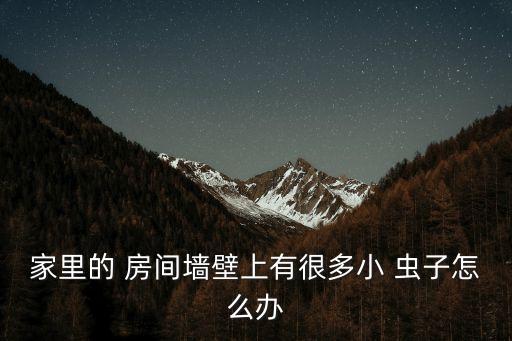 家里的 房間墻壁上有很多小 蟲子怎么辦