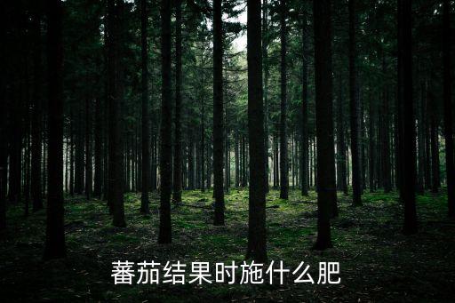 蕃茄結(jié)果時(shí)施什么肥