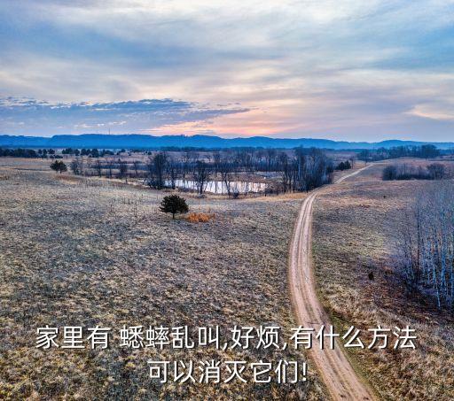 家里有 蟋蟀亂叫,好煩,有什么方法可以消滅它們!