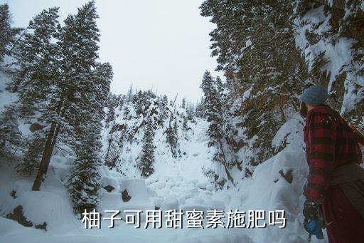  柚子可用甜蜜素施肥嗎
