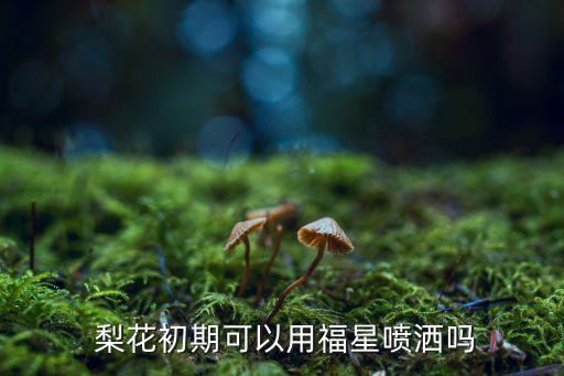  梨花初期可以用福星噴灑嗎