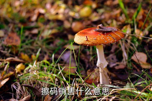 擦碼銷售什么意思