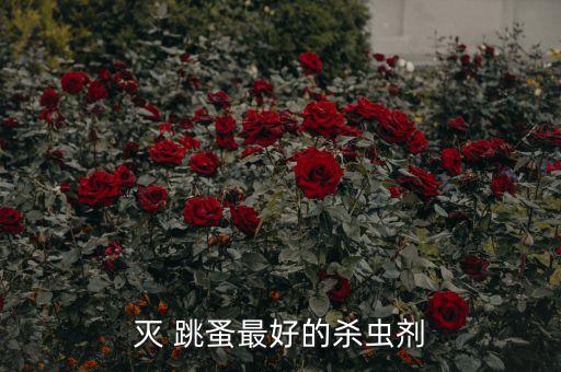 滅 跳蚤最好的殺蟲劑