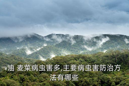 麥菜打什么農(nóng)藥,菜蟲用什么農(nóng)藥殺比較好?