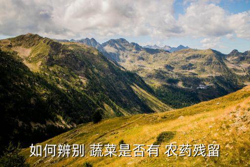 蔬菜農藥檢測什么性,學校食堂蔬菜需要農藥檢測嗎
