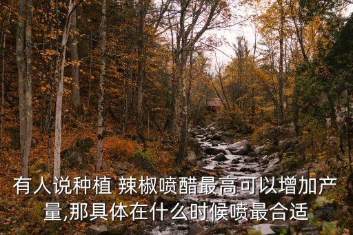 有人說種植 辣椒噴醋最高可以增加產量,那具體在什么時候噴最合適