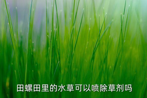 田螺噴什么農藥,海南哪里有打田螺的農藥賣