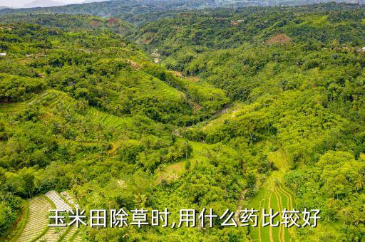 玉米適合噴什么農(nóng)藥水呢,玉米治蟲用什么農(nóng)藥好