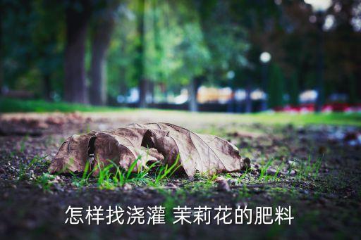 噴茉莉花用什么農藥,茉莉花需要打農藥嗎