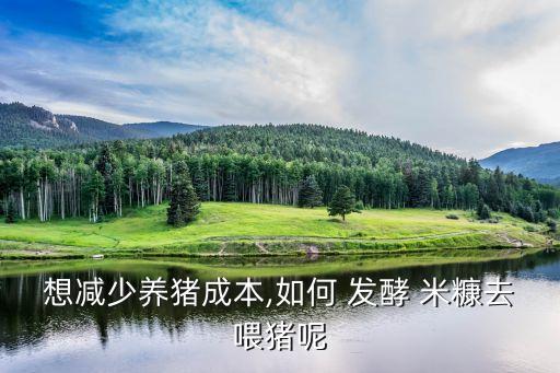 想減少養豬成本,如何 發酵 米糠去喂豬呢