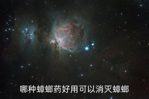 哪種蟑螂藥好用可以消滅蟑螂