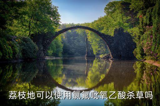  荔枝地可以使用氯氟吡氧乙酸殺草嗎