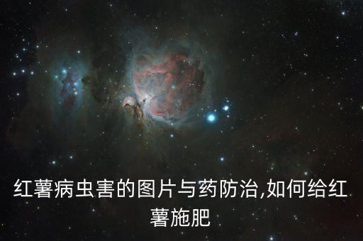 薯類的蟲(chóng)用什么農(nóng)藥殺死,什么農(nóng)藥能殺死蚧殼蟲(chóng)