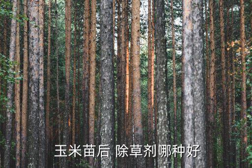 玉米用什么農藥能除草,什么農藥除草效果最好