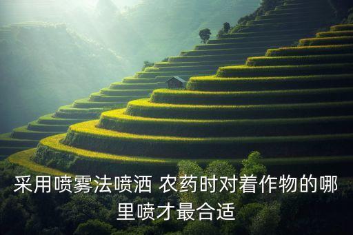 采用噴霧法噴灑 農(nóng)藥時(shí)對(duì)著作物的哪里噴才最合適