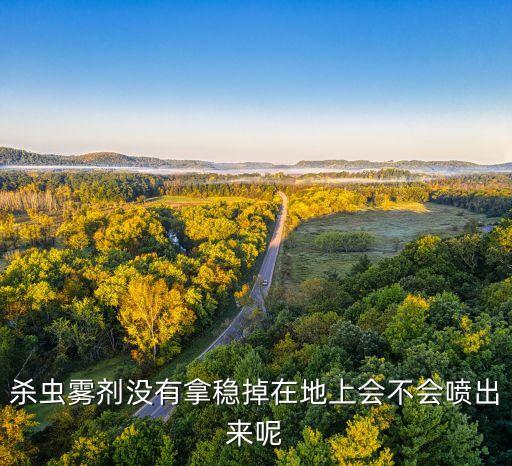 殺蟲霧劑沒有拿穩掉在地上會不會噴出來呢