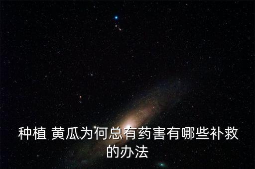  種植 黃瓜為何總有藥害有哪些補(bǔ)救的辦法