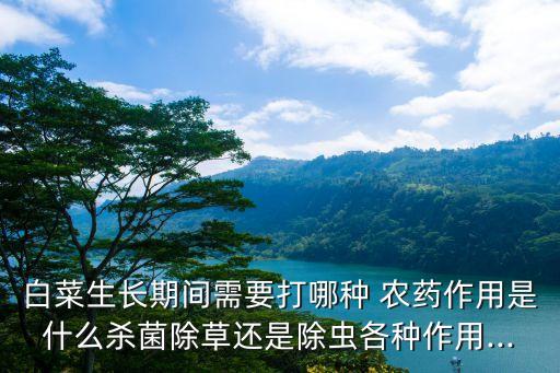 白菜生長期間需要打哪種 農(nóng)藥作用是什么殺菌除草還是除蟲各種作用...