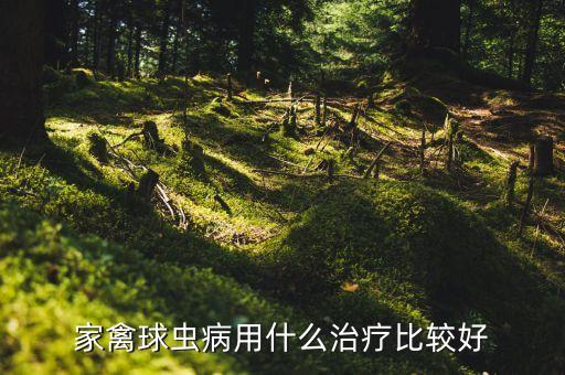 ,什么農藥對球蟲有效