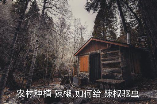 農村種植 辣椒,如何給 辣椒驅蟲