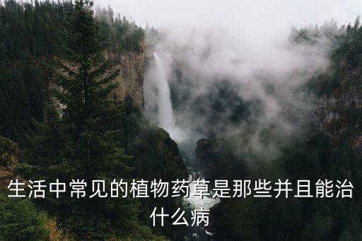 生活中常見的植物藥草是那些并且能治什么病
