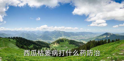 西瓜秧腐爛用什么農藥好,西瓜一般打什么農藥
