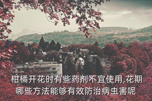  柑橘開花時有些藥劑不宜使用,花期哪些方法能夠有效防治病蟲害呢