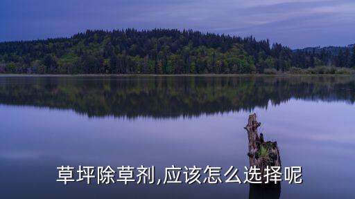 草坪有雜草打什么農藥有用