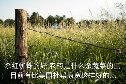 掌月蛾用什么農藥,小葉蛾打什么農藥