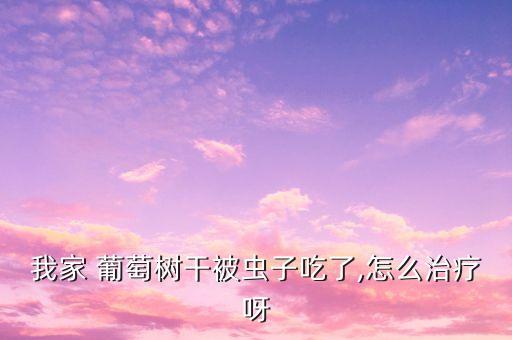 我家 葡萄樹干被蟲子吃了,怎么治療呀