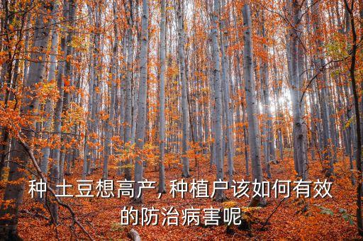 種植土豆什么時候打農藥,土豆種植行距和株距