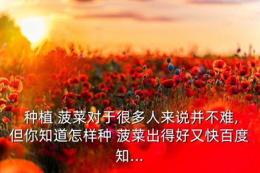  種植 菠菜對于很多人來說并不難,但你知道怎樣種 菠菜出得好又快百度知...