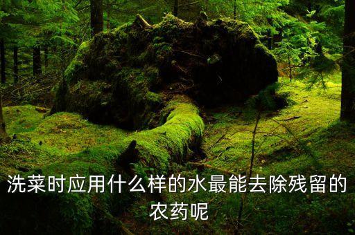 農(nóng)藥要用什么洗手液消毒,什么樣的洗手液可以消毒