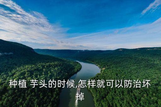 芋頭葉爛了用什么農(nóng)藥,葉菜爛葉用什么農(nóng)藥