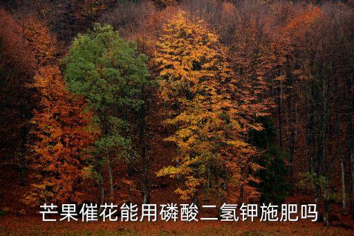  芒果催花能用磷酸二氫鉀施肥嗎