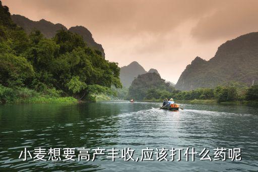 小麥打什么農藥抗倒伏,辦小麥種用什么農藥