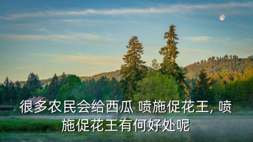 很多農民會給西瓜 噴施促花王, 噴施促花王有何好處呢