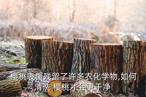  櫻桃表面殘留了許多農(nóng)化學(xué)物,如何清洗 櫻桃才會(huì)更干凈