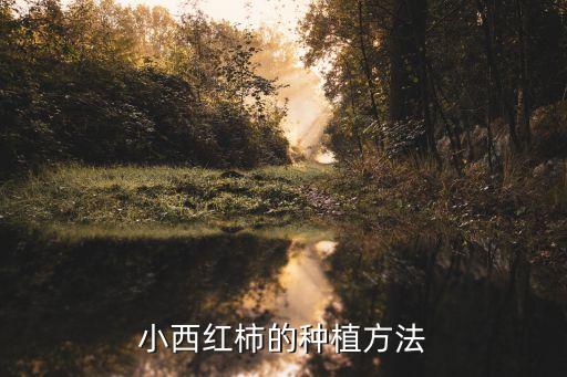 小番茄要打什么農(nóng)藥,番茄和什么一起打汁