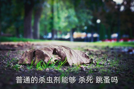 普通的殺蟲劑能夠 殺死 跳蚤嗎