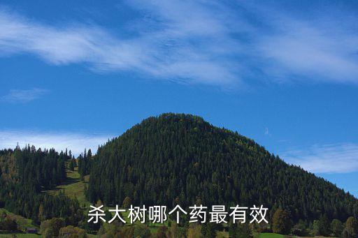 殺大樹哪個藥最有效