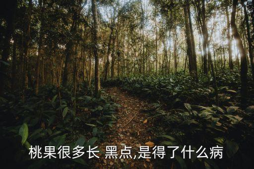 為什么水果打農藥會有黑點,水果為什么要打農藥