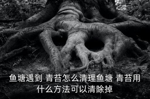 魚塘遇到 青苔怎么清理魚塘 青苔用什么方法可以清除掉