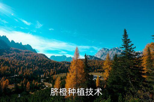 春天剛開始叫什么,臍橙春天剛開始用什么農(nóng)藥