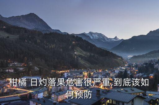 柑橘 日灼落果危害很嚴重,到底該如何預防