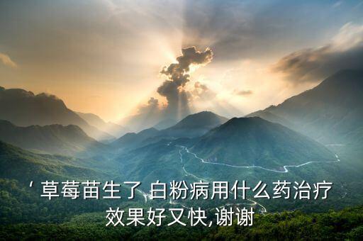 ‘ 草莓苗生了 白粉病用什么藥治療效果好又快,謝謝