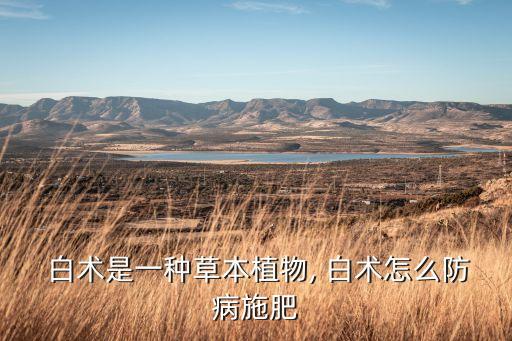 白術(shù)有蟲打什么農(nóng)藥,白術(shù)突破材料打什么